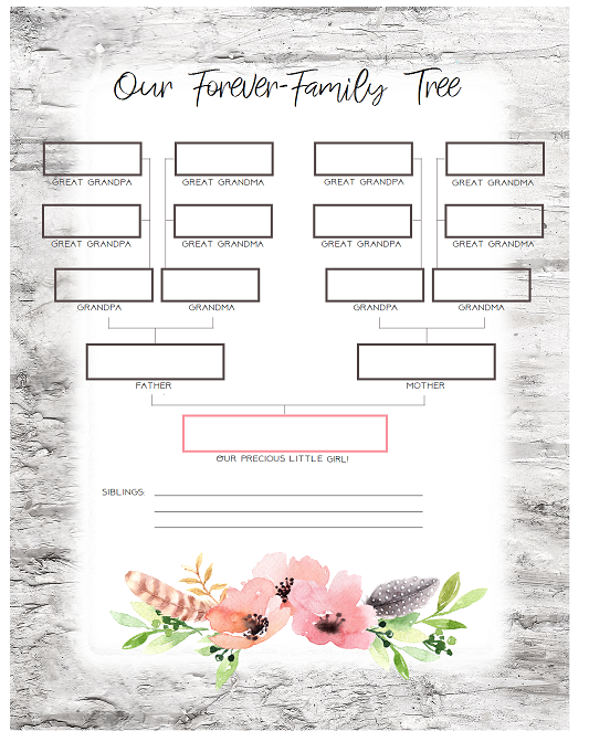 baby girl memory book