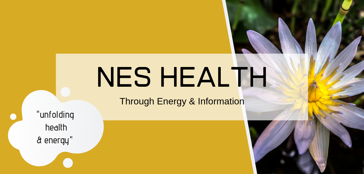 Bioenergetics Health and Wellness Bioenergetics Health and Wellness